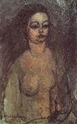 Amedeo Modigliani Jeune fille nue (mk38) oil painting on canvas